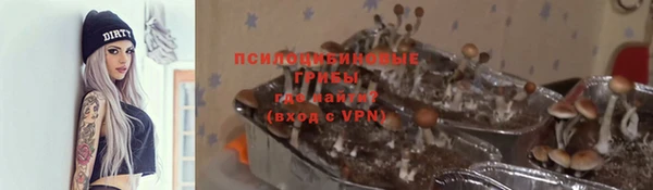 сатива Абинск