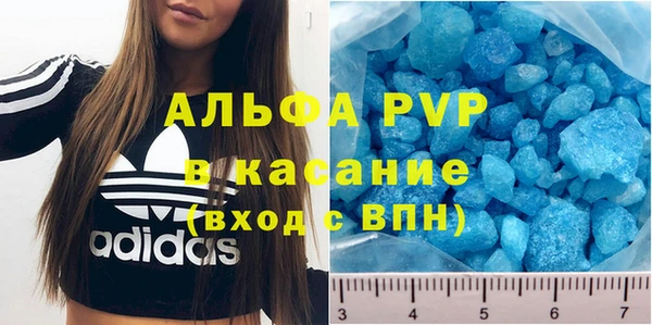 сатива Абинск